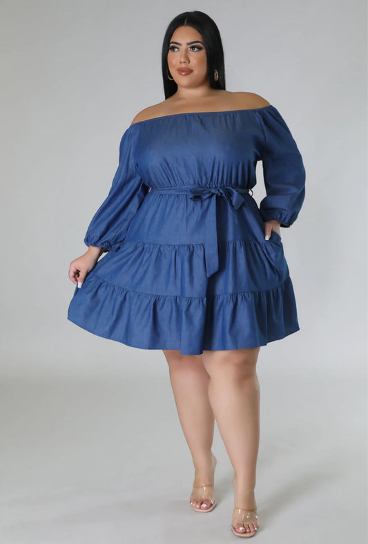 Blossom denim Dress